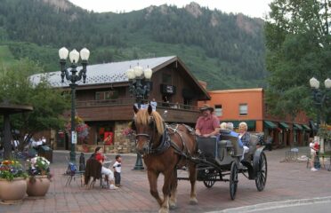Aspen Carriage and Sleigh