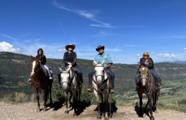 Action Adventures Trail Rides