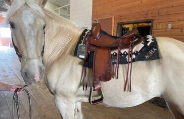 The Perfect Fit Saddlery