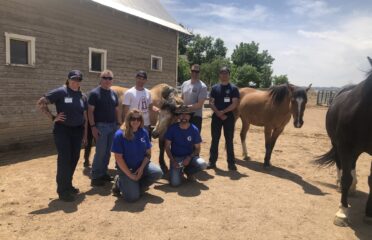 Groundwork Ranch Equine-Assisted Empowerment Center of Colorado
